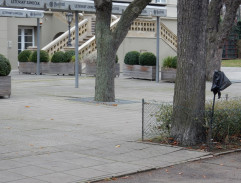 Milenky starého kriminálníka