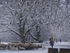 Útěk Anny Vaňkové