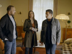 Pokoj v Burianově vile