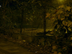 Pronásledování Mančevského 2