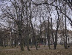 Výslech Kláry Tiché