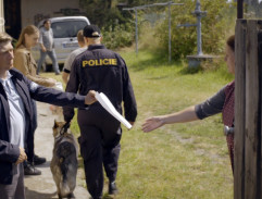 Prohlídka u Ledvinkových