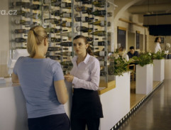 Výslech Kamily Halíkové