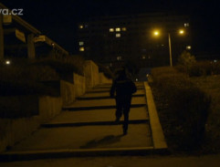 Pronásledování lupiče