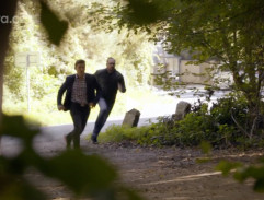 Pronásledování Vítka