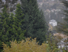 Pohled od domu Pospíšilových