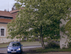 U domu Bartoňových