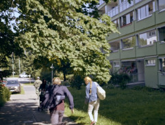 Pronásledování Dražila