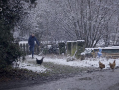 U statku Vaňkových