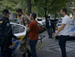 Zatčení Babického