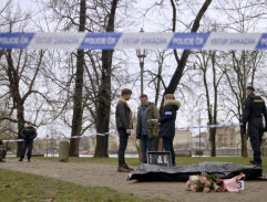 Vyšetřování na Střeleckém ostrově