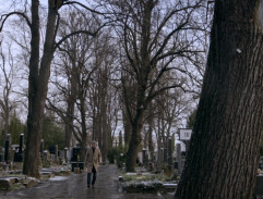 Plk. Vondráček na hřbitově