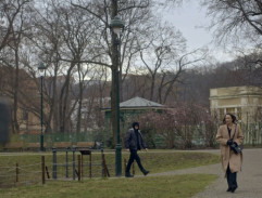 Pronásledování Marie Janovské