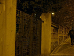 Maskovaná zlodějka