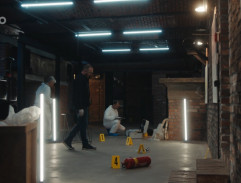 Vyšetřování v galerii