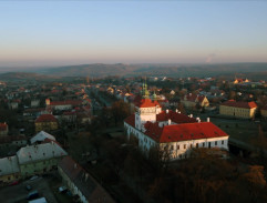 Ústav pro mentálně postižené