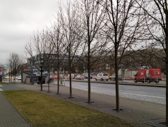 Sledování Melánie Rekové