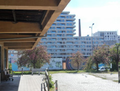 Před galerií Davida Macha