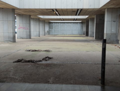 S06E11 Osamělý muž