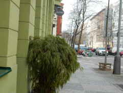 Výslech Felixe Kapouna