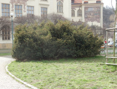 S05E22 Romeo a Julie