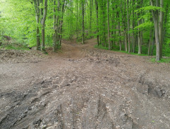 Pronásledování Vítka 2