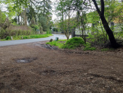 Pronásledování Vítka