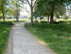 S03E30 Podlé motivy