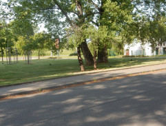 S03E29 Sběrači lahví