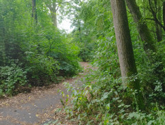 Vyšetřování smrti Marie Gajdošové