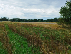 Vyšetřování  dopravní nehody