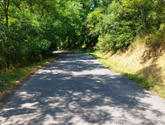 Motorkáři na vyjížďce