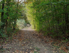 S03E02 Hledání pokladu