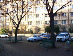 Na obchůzce v parku