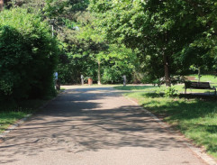 V nemocničním parku