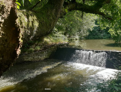 S02E11 Smrtící hra