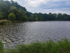 Rybář u rybníka 2