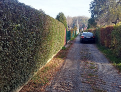 S03E02 Hledání pokladu