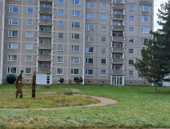 Stíhání Gebauera 3