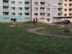 Stíhání Gebauera 2