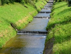 Postav dům, zasaď strom