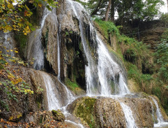 Postav dům, zasaď strom