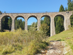 Postav dům, zasaď strom