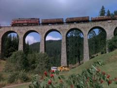 Postav dům, zasaď strom