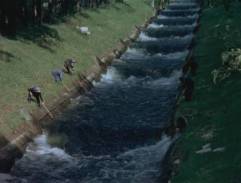 Postav dům, zasaď strom