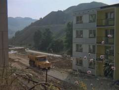 Postav dům, zasaď strom