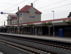 Mrtvý mezi živými