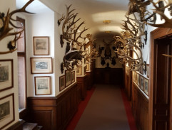 Chodba zámeckého sídla prince Leopolda