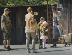 Gump - pes, který naučil lidi žít