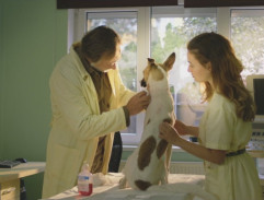 Gump na veterině - II